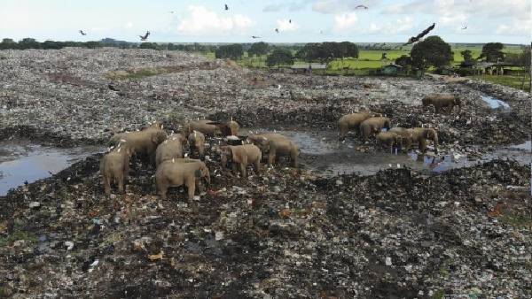 महिलाओं की तुलना में पुरुष रोगियों में ज्यादा