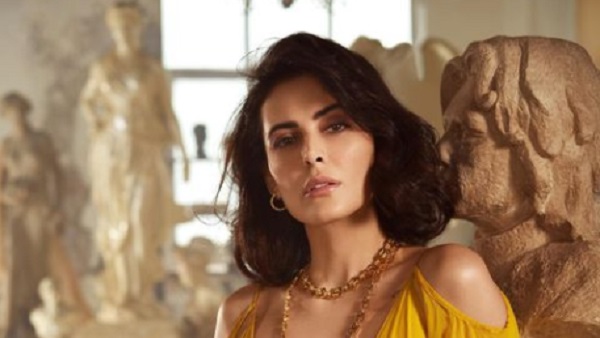 शादी से ऐसा था मंदाना का रिश्ता 