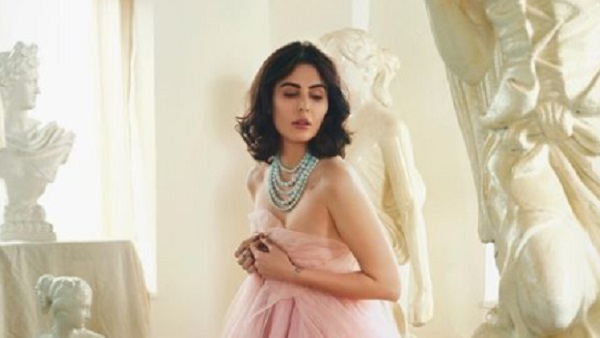 मंदाना ने दर्ज करवाया था घरेलू हिंसा का केस