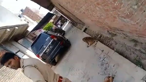 मोहल्ले के लोगों ने किया मृत बच्चे का अंतिम संस्कार