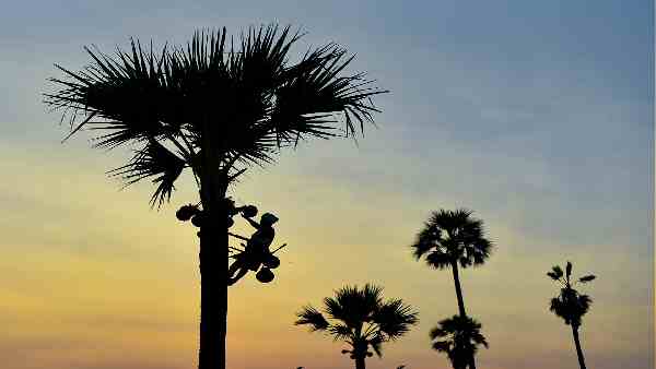 संकट रोकने के लिए सरकार ने दिया दखल