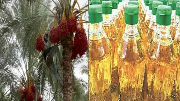 28 अप्रैल से इंडोनेशिया से पाम ऑयल की सप्लाई बंद