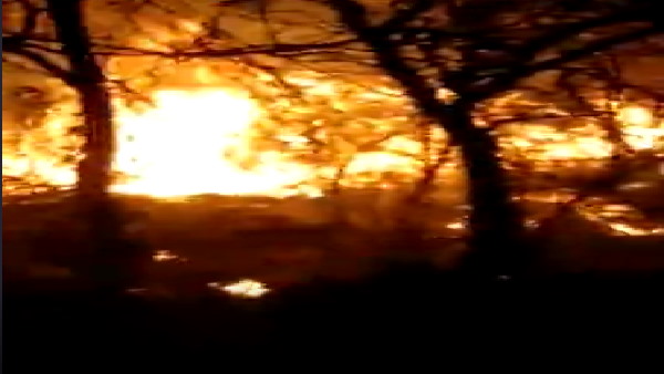 WATCH Video: Fire in forest area of Udhampur jammu and Kashmir