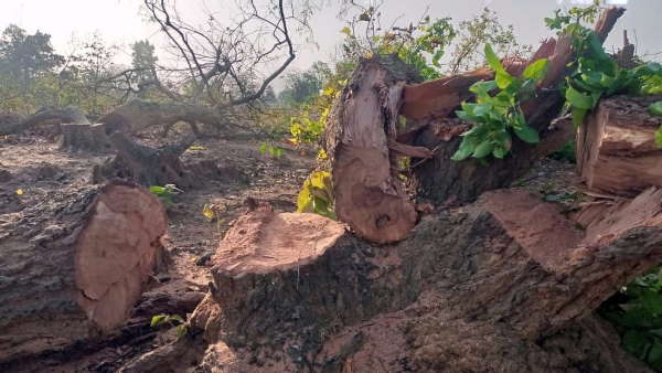 सोशल मीडिया पर भी समर्थन सोशल मीडिया पर भी समर्थन