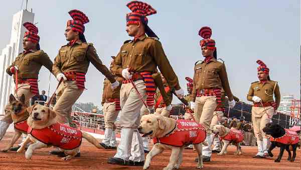 एमपी पुलिस का खोजी कुत्ता ही उठा ले गए चोर एमपी पुलिस का खोजी कुत्ता ही उठा ले गए चोर