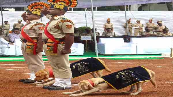 पटाखे की आवाज सुनकर भागा पुलिस का कुत्ता पटाखे की आवाज सुनकर भागा पुलिस का कुत्ता