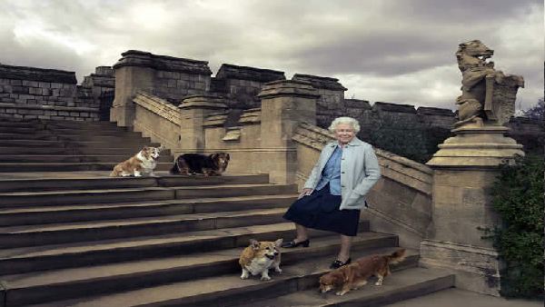 टॉय का बाक्स यूनिक