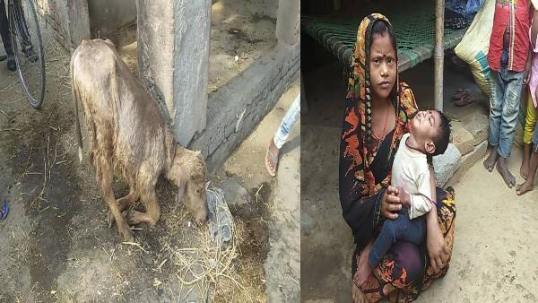 पलायन कर रहे हैं बरुआ के स्थानीय निवासी