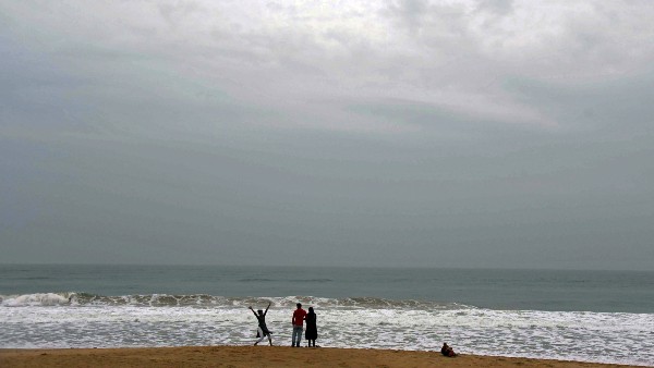 पत्तों को खाते हैं