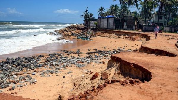 कुत्तों का हुआ बुरा हाल