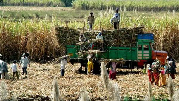 बिहार का सबसे बड़ा इथेनॉल प्लांट