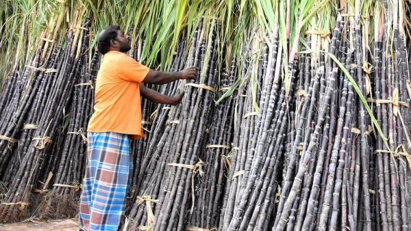 पेट्रोल में 20 फीसदी इथेनॉल मिलाने का लक्ष्य