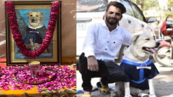 5 साल से एक कुत्ते को घर पर पाल रखा था