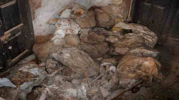 Skeletons of Indian heroes of the freedom struggle of 1857, recovered from Ajnala in Punjab, actually belonged to soldiers from the Gangetic plains