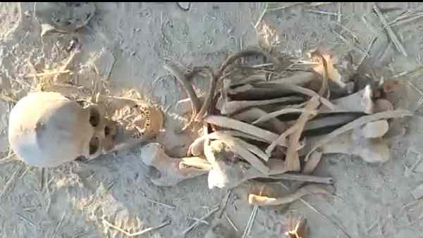 Skeletons of Indian heroes of the freedom struggle of 1857, recovered from Ajnala in Punjab, actually belonged to soldiers from the Gangetic plains