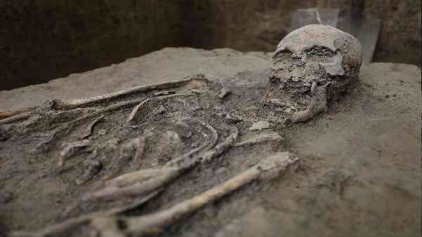 Skeletons of Indian heroes of the freedom struggle of 1857, recovered from Ajnala in Punjab, actually belonged to soldiers from the Gangetic plains
