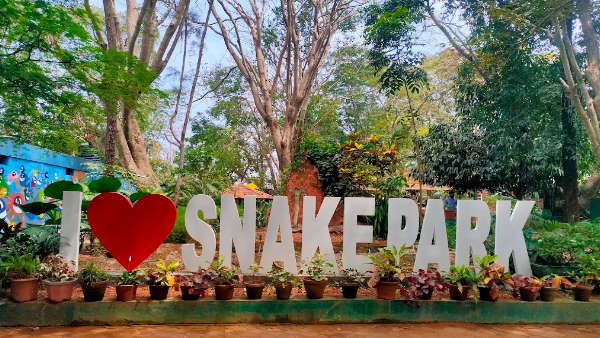  800 एकड़ में फैला है सफारी 