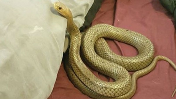 विवरियम बेच रहे लोग