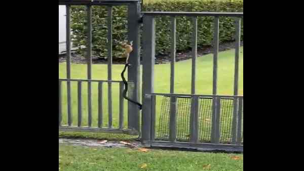 हारिए न हिम्मत.... 