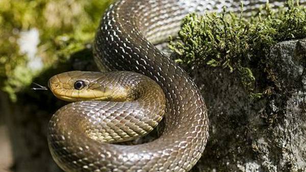 कई उपकरणों की होती है जरूरत