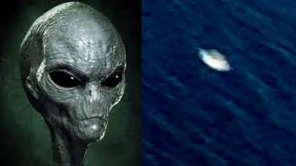 लेस्ली ने कहा, सरकार के पास हैं सबूत