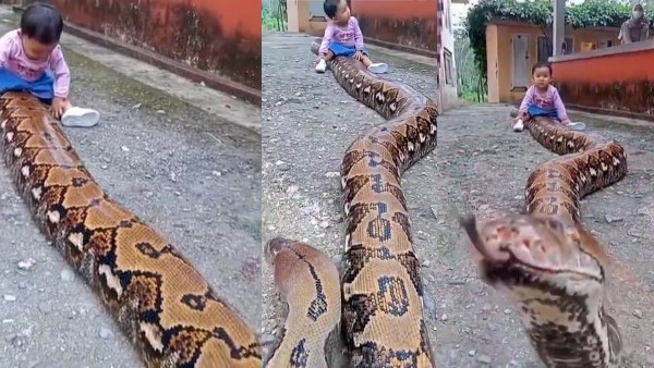 लाखों लोगों ने देखा लाखों लोगों ने देखा