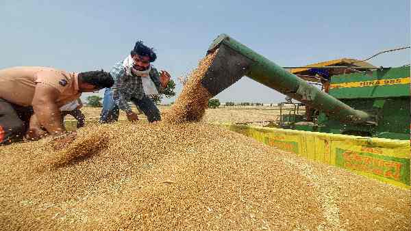 देश की जरूरतों की वजह से निर्यात रोका गया है