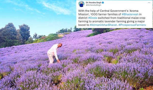 सुगंधित पौधों की खेती को बढ़ावा