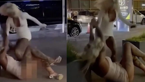 क्रिस्टल ने प्लेबॉय के लिए मॉडलिंग भी की है