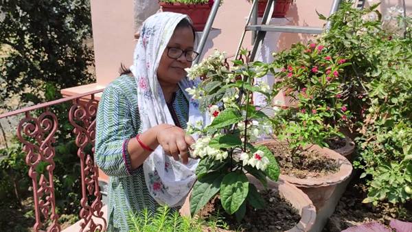 घरेलू खाद के उपयोग पर जोर 