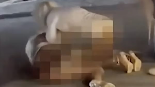 दोनों सड़क पर सेमी न्यूड अवस्था में दिखी 