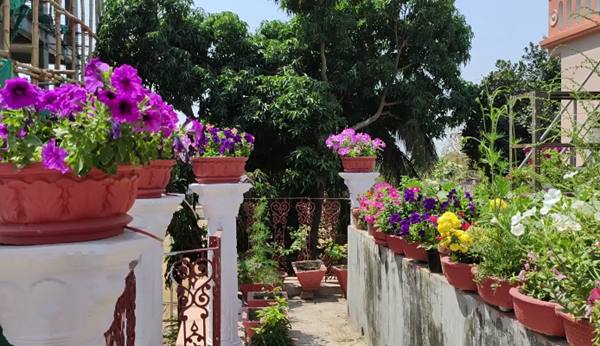 सब्जियों के अलावा फूलों की बगिया से बढ़ा सौंदर्य