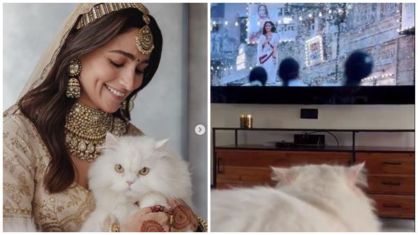 आलिया ने एडवर्ड के साथ शेयर किया वीडियो आलिया ने एडवर्ड के साथ शेयर किया वीडियो