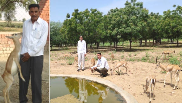 इन जगहों पर अधिक हैं बिश्नोई के लोग