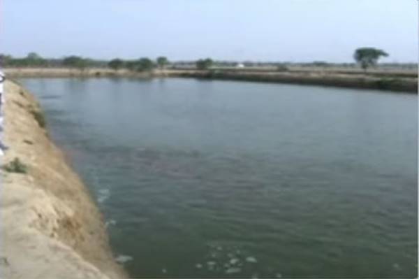 2003 में छोड़ी नौकरी, 13 साल बाद मछली पालन