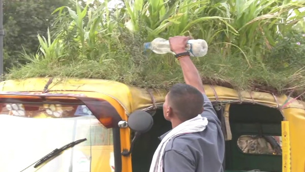 ऑटो की छत पर लगा रखे हैं 25 किस्मों के पौधे 