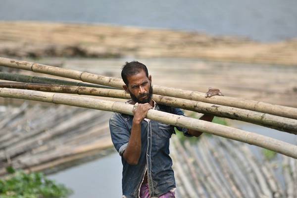 बांस के चारकोल पर से 'निर्यात प्रतिबंध' हटा बांस के चारकोल पर से 'निर्यात प्रतिबंध' हटा