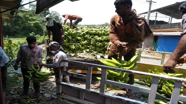 किसानों के अस्तित्व पर सवाल, महीनों से नहीं हुआ भुगतान किसानों के अस्तित्व पर सवाल, महीनों से नहीं हुआ भुगतान