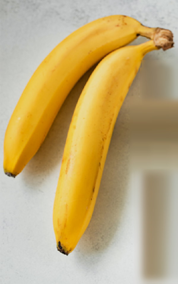 यहां के किसान ने उगाए ऐसे पेड़