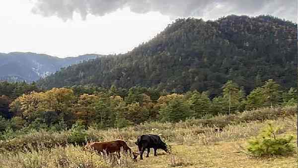 भूटान के अनुभव से सीखने की आवश्यकता
