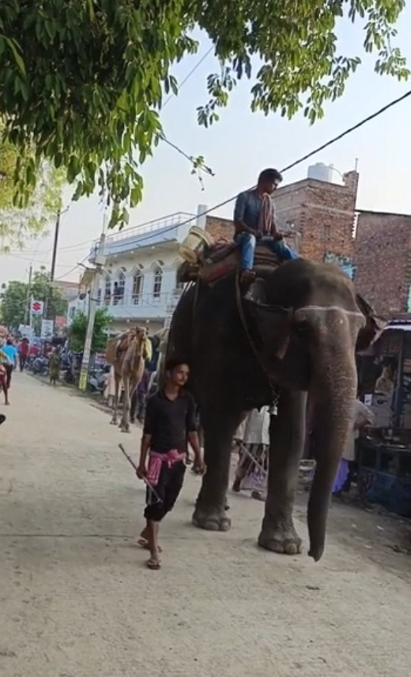 दुल्हन दस दिन पहले आई मायके दुल्हन दस दिन पहले आई मायके