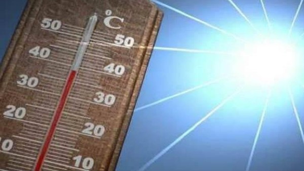 आज पक्षी, तो कल इंसानों की बारी