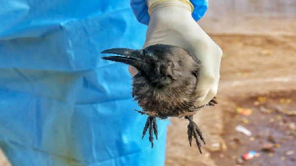 अभी गर्मी से राहत नहीं