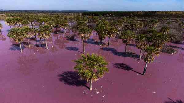 सामान्य बारिश से अंतर ?