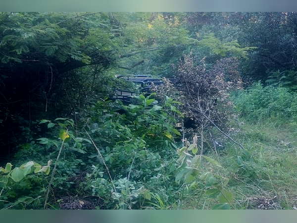 गया के जंगल में मृत बंधा मिला