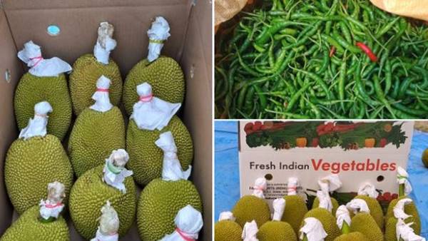 APEDA पर किन उत्पादों के एक्सपोर्ट की जिम्मेदारी