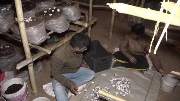 इंजीनियर से मशरूम किसान बने राकेश शर्मा