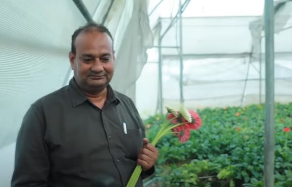 दिल्ली-मुंबई तक फूलों की डिमांड