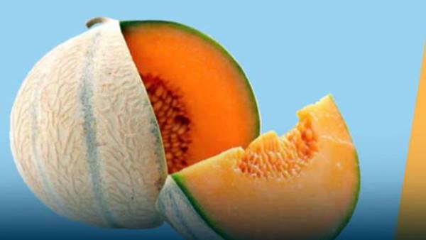 खरबूजे में भरपूर पोषक तत्व