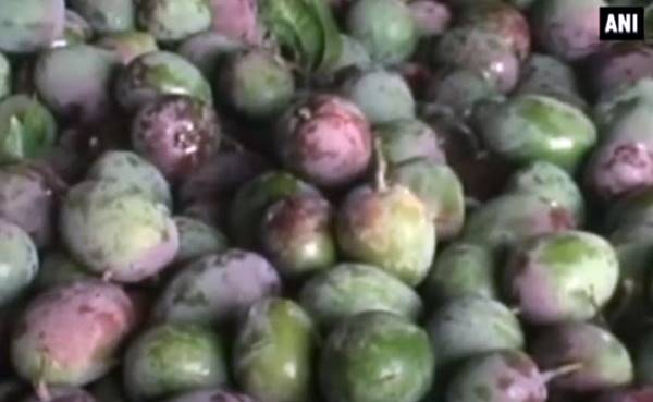 ब्लैक मैंगो में चीनी लगभग 75 फीसद कम